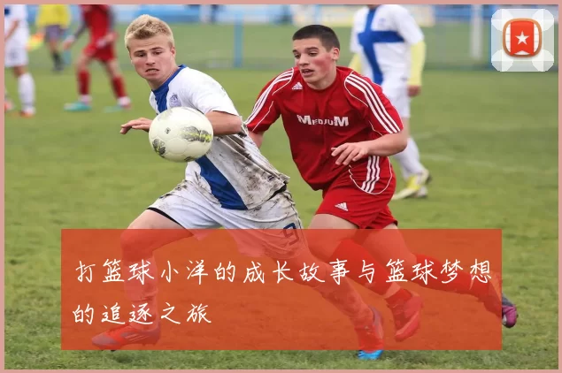 打篮球小洋的成长故事与篮球梦想的追逐之旅